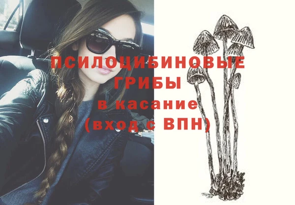 стаф Абинск