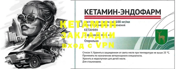 стаф Абинск