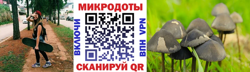 hydra вход  Нюрба  Галлюциногенные грибы мухоморы 
